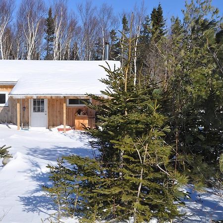The Sleeping Moose Cottage Birch Plain Bagian luar foto