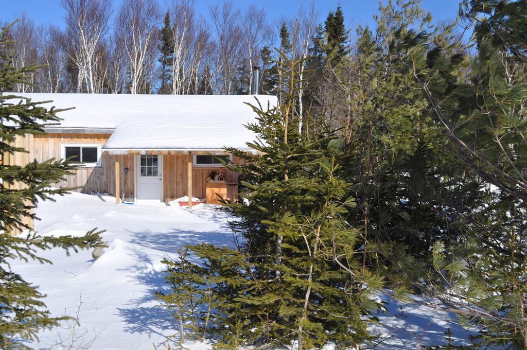 The Sleeping Moose Cottage Birch Plain Bagian luar foto
