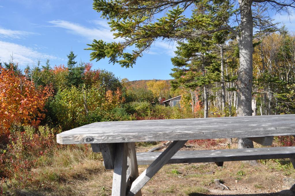 The Sleeping Moose Cottage Birch Plain Bagian luar foto