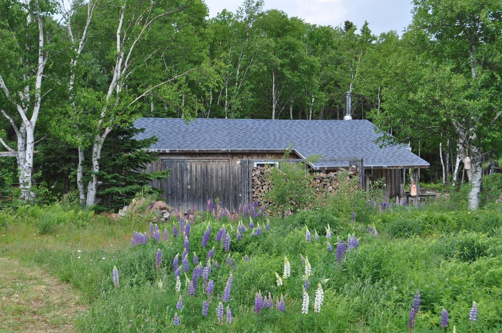 The Sleeping Moose Cottage Birch Plain Bagian luar foto