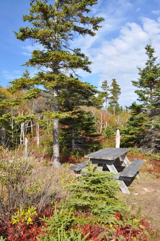 The Sleeping Moose Cottage Birch Plain Bagian luar foto