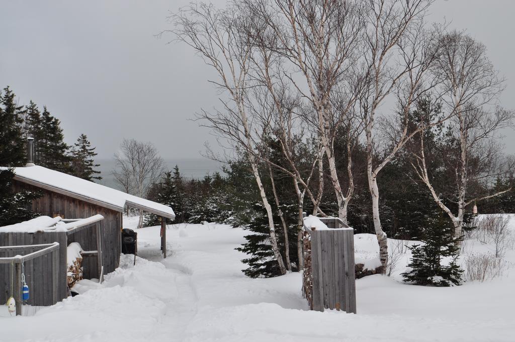 The Sleeping Moose Cottage Birch Plain Bagian luar foto
