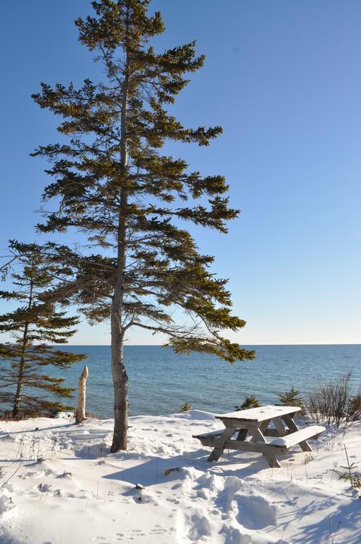 The Sleeping Moose Cottage Birch Plain Bagian luar foto