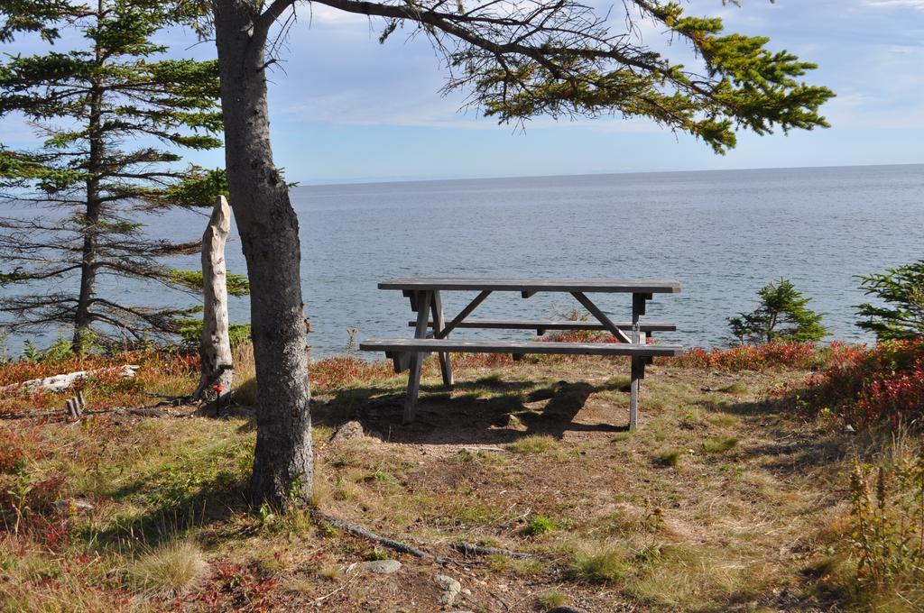 The Sleeping Moose Cottage Birch Plain Bagian luar foto