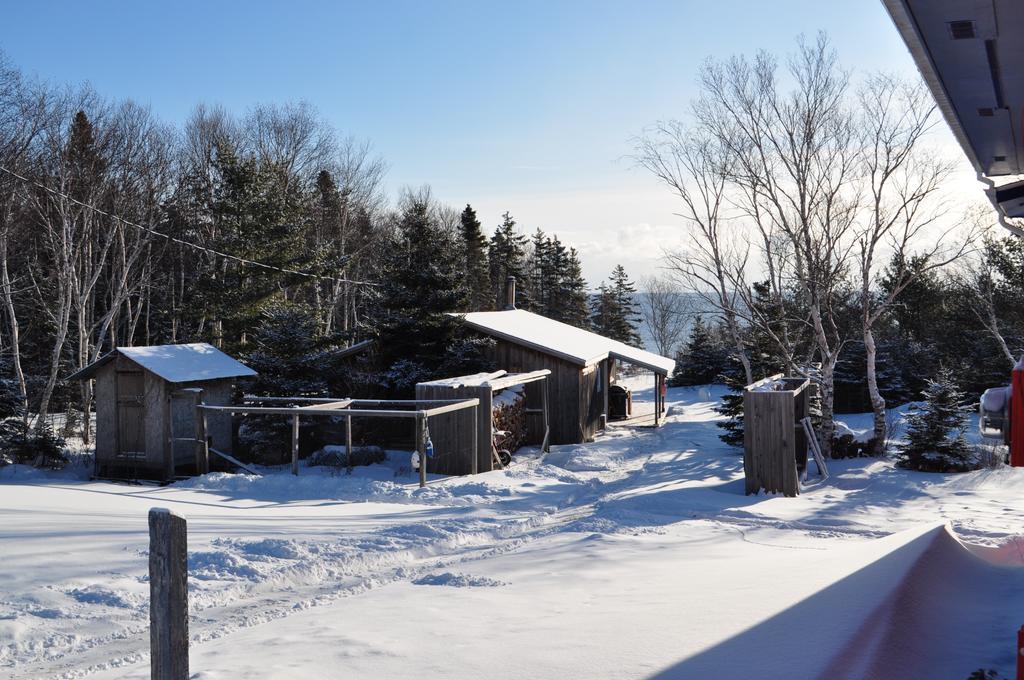 The Sleeping Moose Cottage Birch Plain Bagian luar foto